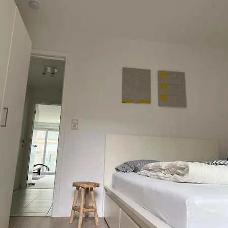 Blankeduyn *